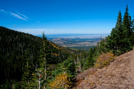 Waterline Trail