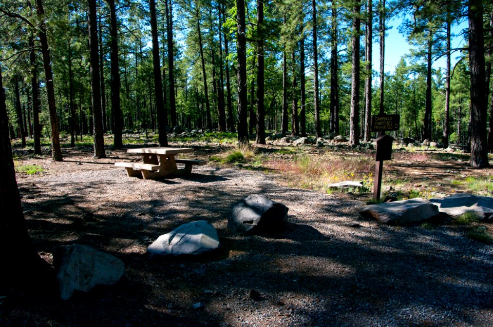 Griffith Spring Trail No. 189
