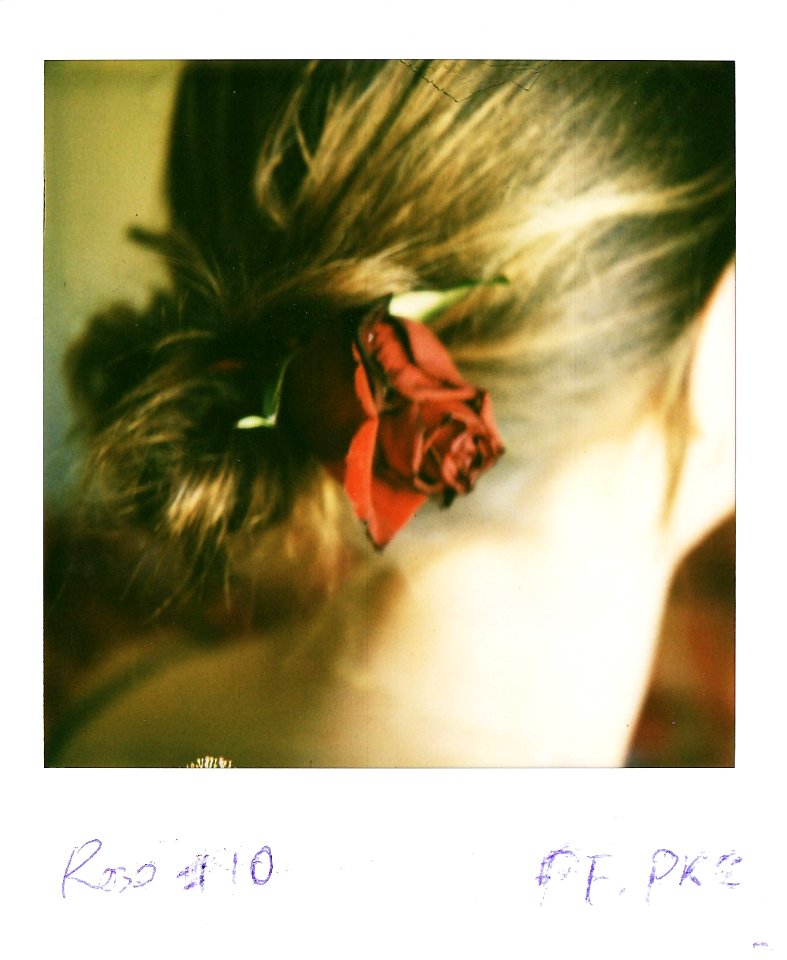 Rose #10