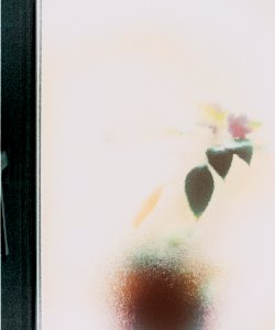 tras-la-ventana 49676421732 o