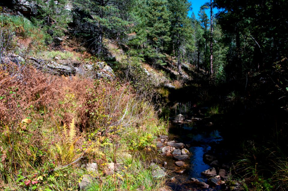 U-Bar Trail No. 28
