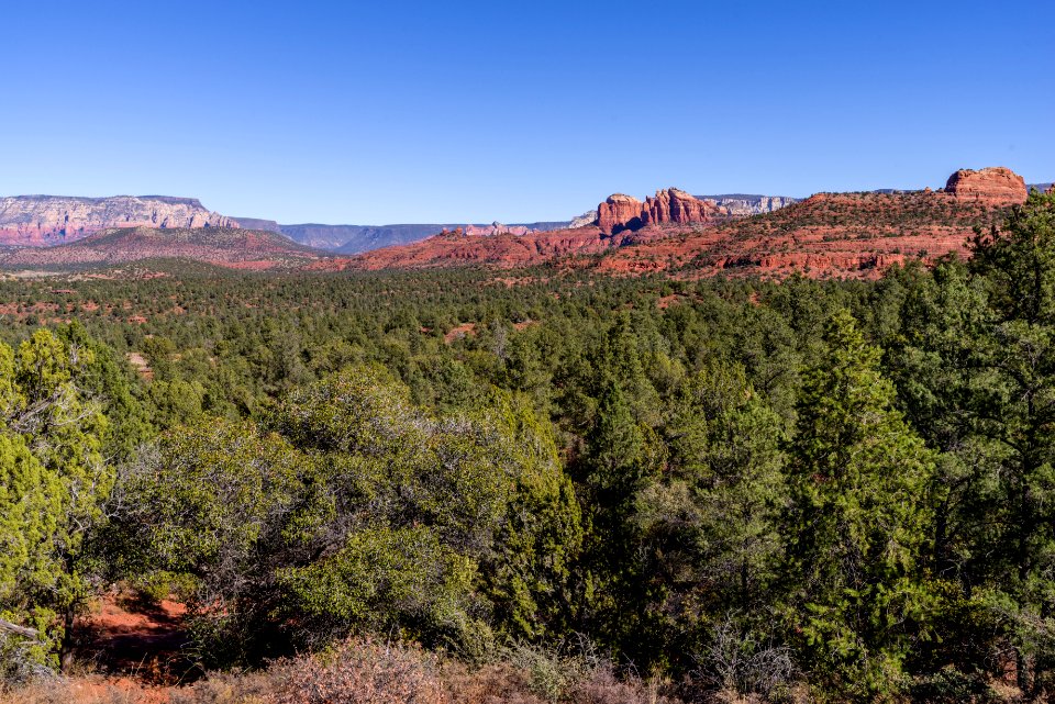 Turkey Creek Trail