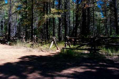 Bismarck Lake Trail