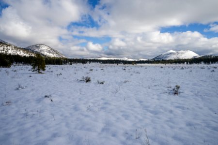 Winter in Bonito Park