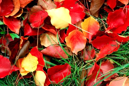 Color-of-Fall-more