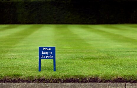 Grass isolated space nature