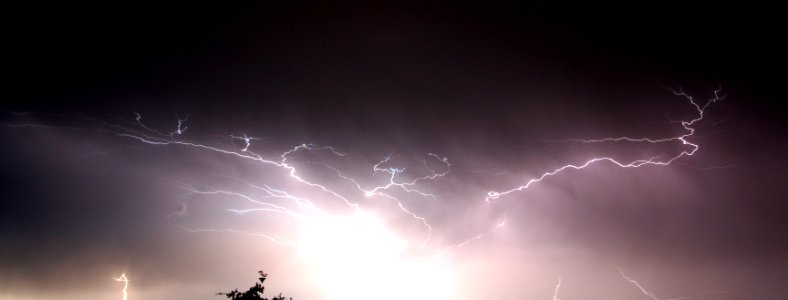 lightningtree photo