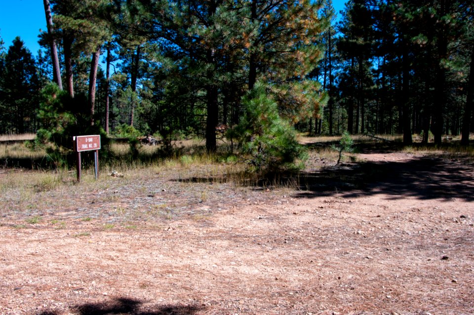 U-Bar Trail No. 28