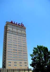 The Obligatory Alico.