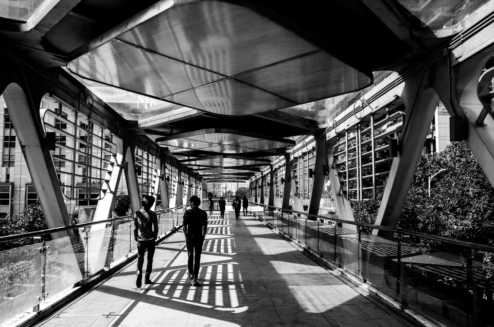 Flyover black and white light and shadow