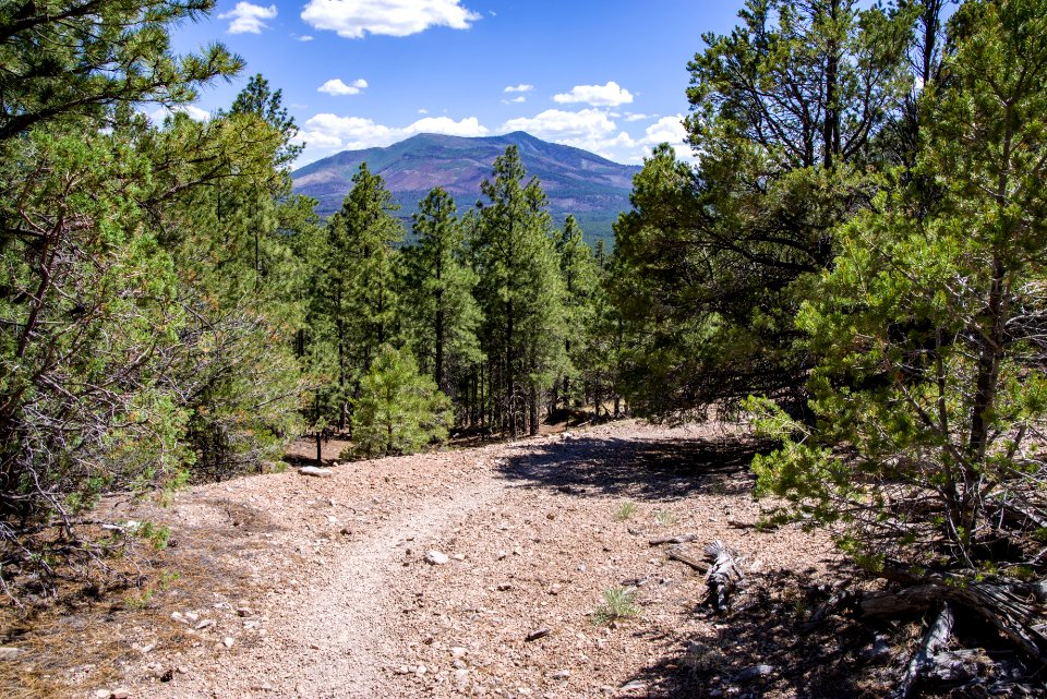 Slate Mountain Trail