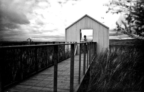 Alviso marina: mandatory gate photo