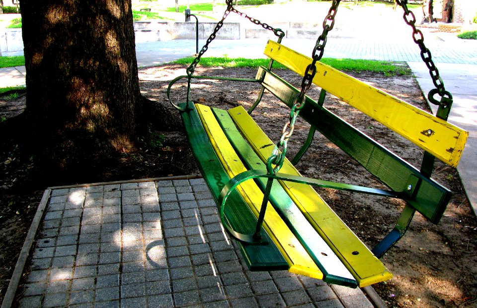 Swing My Green and Gold Afar photo