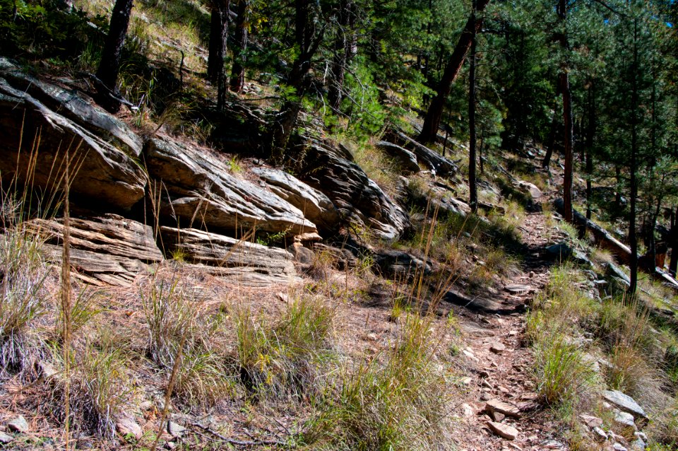 U-Bar Trail No. 28