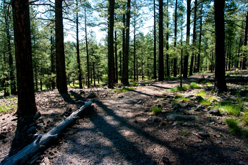 Griffith Spring Trail No. 189