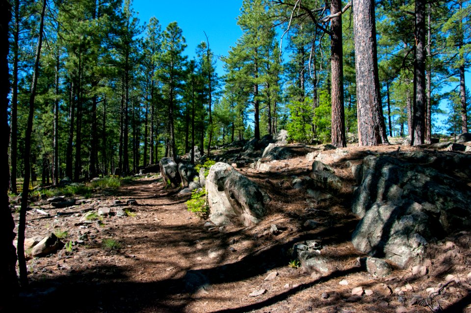 Griffith Spring Trail No. 189