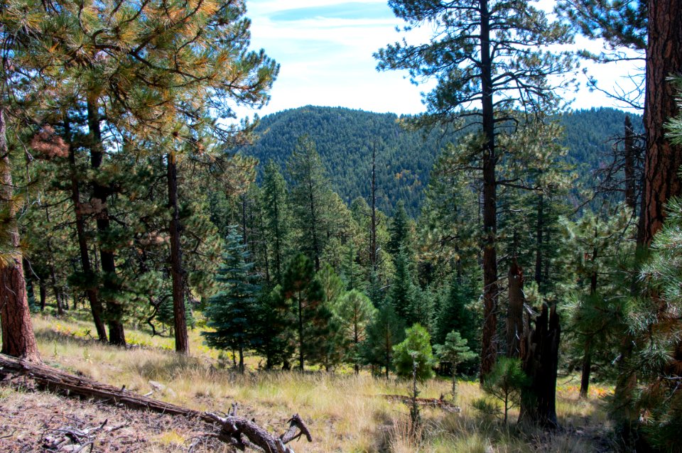 Sunset Trail No. 23