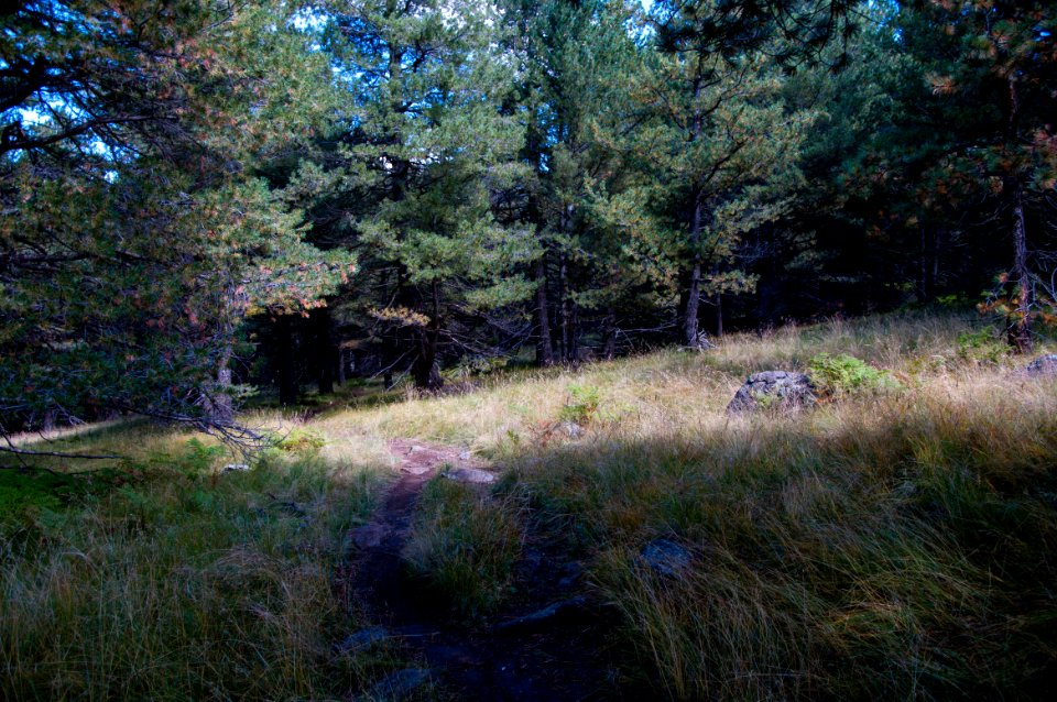 Arizona Trail Passage 34