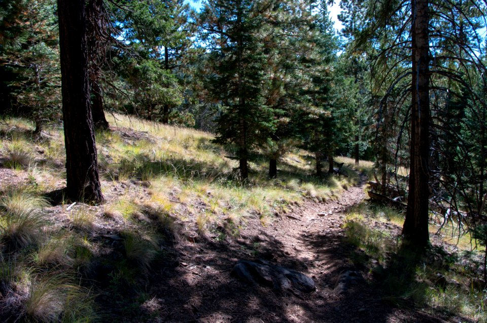 Sunset Trail No. 23