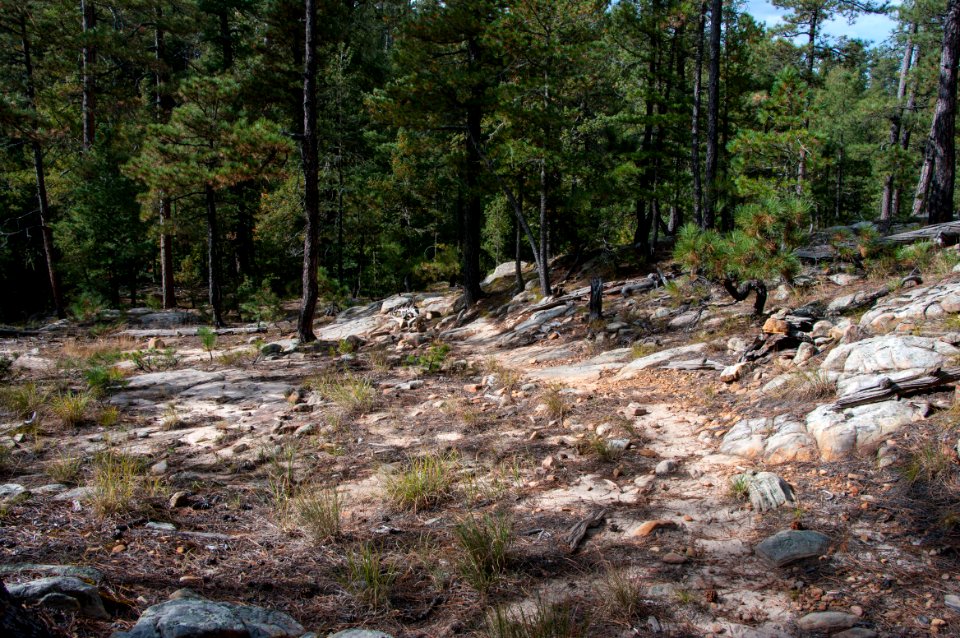 Fred Haught Trail #141