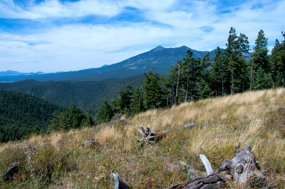 Sunset Trail No. 23