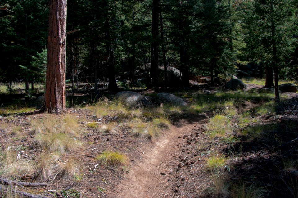 Sunset Trail No. 23