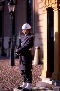 Guard at King's Palace