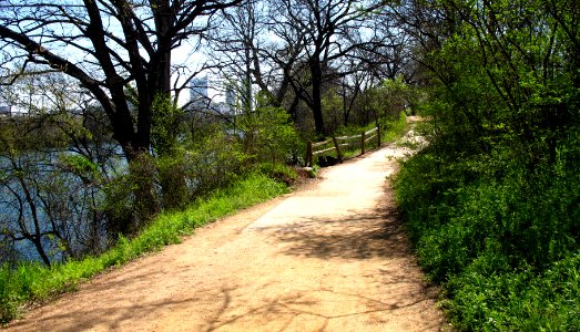 Spring Trail