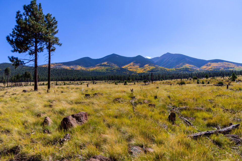 Around the Peaks Loop: FR 418