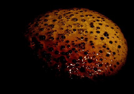 The Dark Pancake