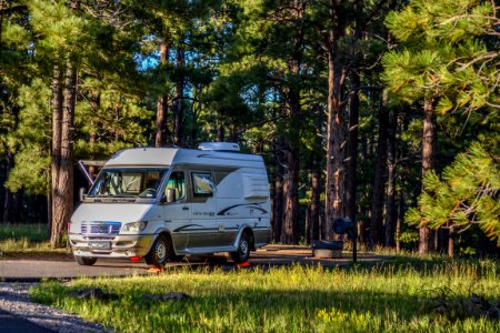 Pine Grove Campground