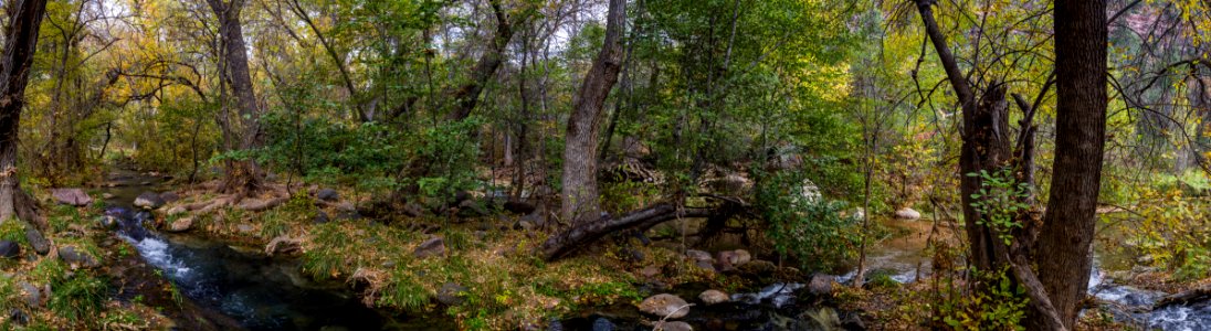 Fossil Springs (November 12, 2017)