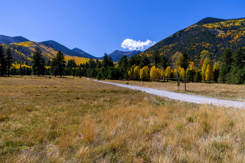 Lockett Meadow