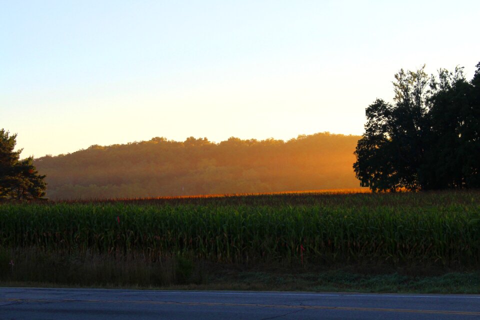 Nature farm field landscape