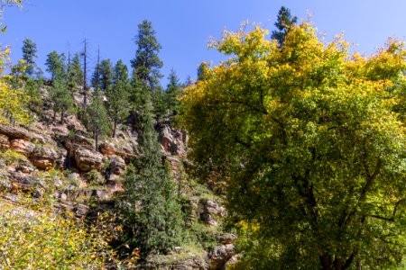 East Clear Creek at FR 95