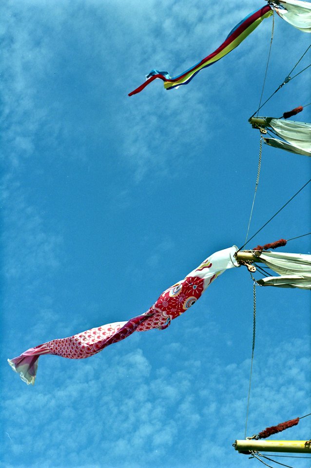 Carp steamers hanging from the mast