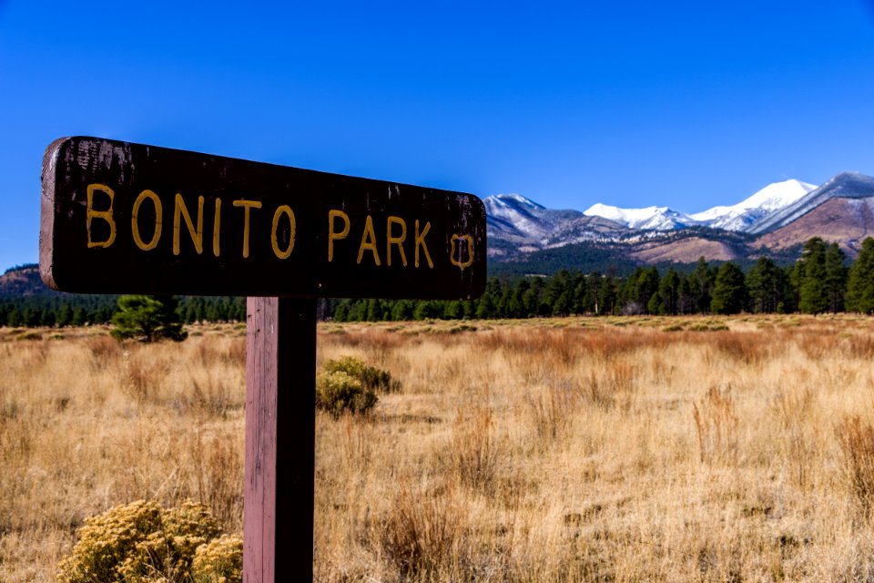 Winter 2016: San Francisco Peaks