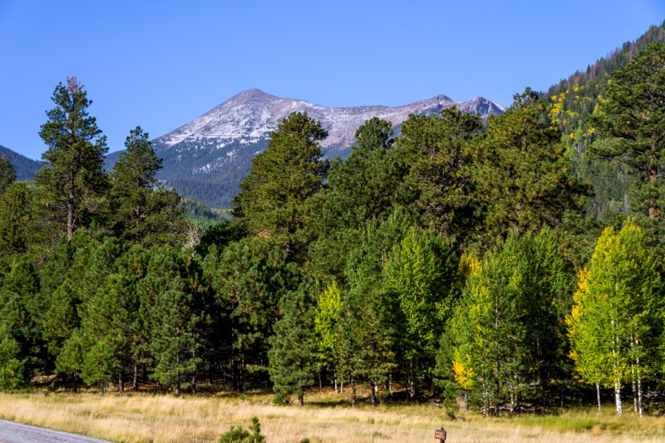 Lockett Meadow