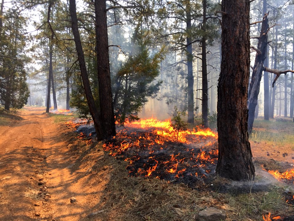 Snake Ridge Fire (May 25, 2017)