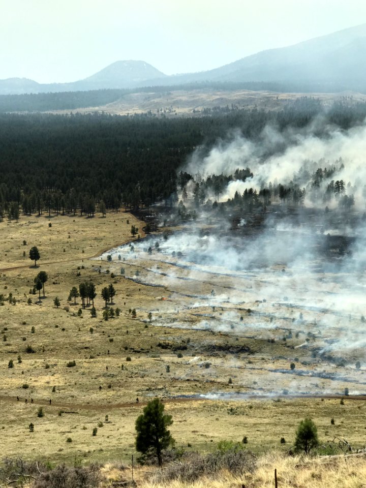 Horseshoe Project (April 21, 2017)