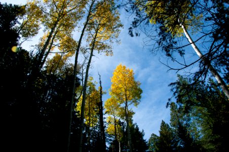 Bear Jaw Trail