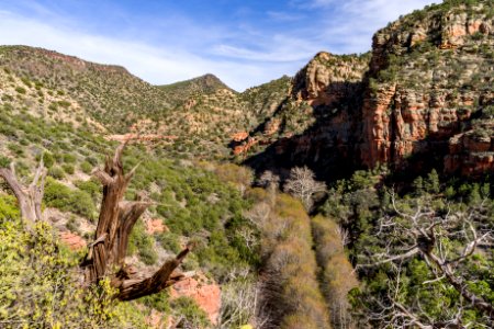 Bell Trail