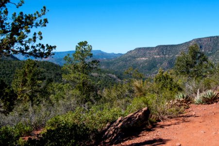 Fossil Springs Trail No. 18