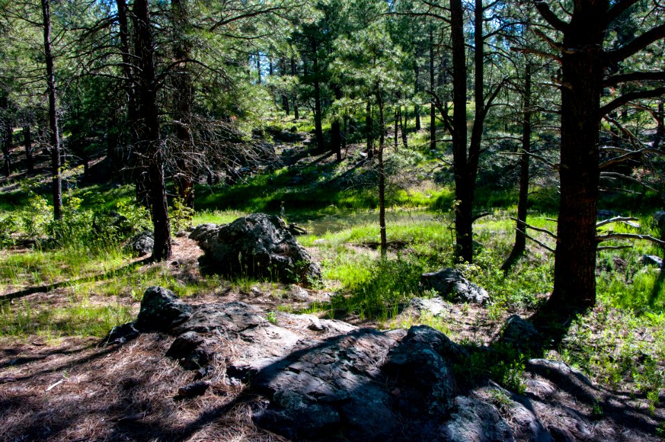 Griffith Spring Trail No. 189