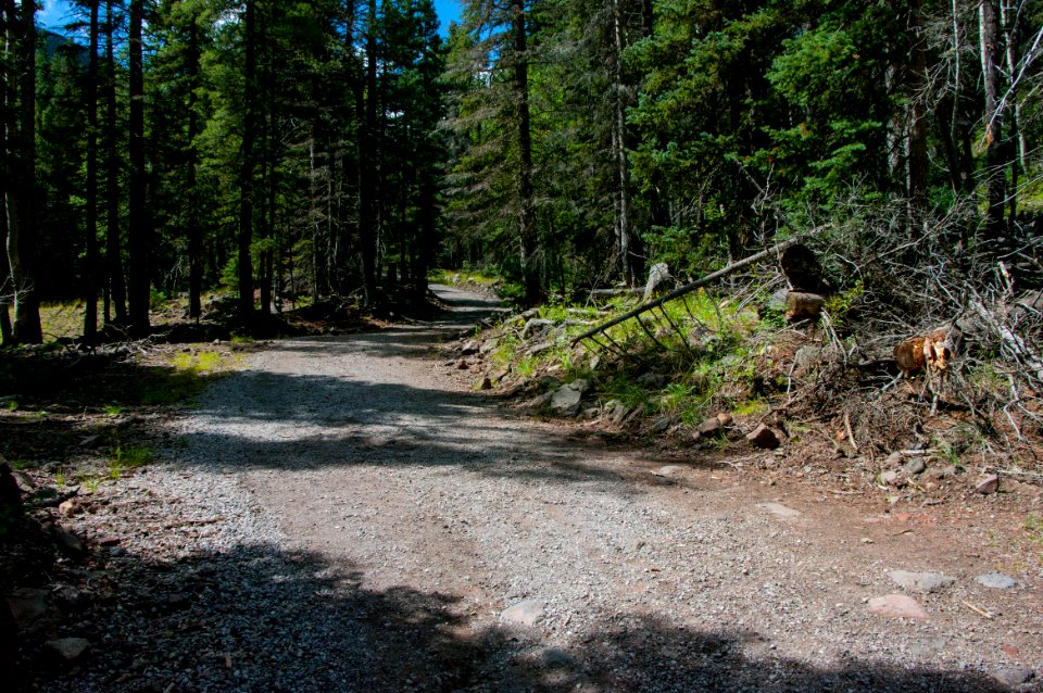 Inner Basin Trail