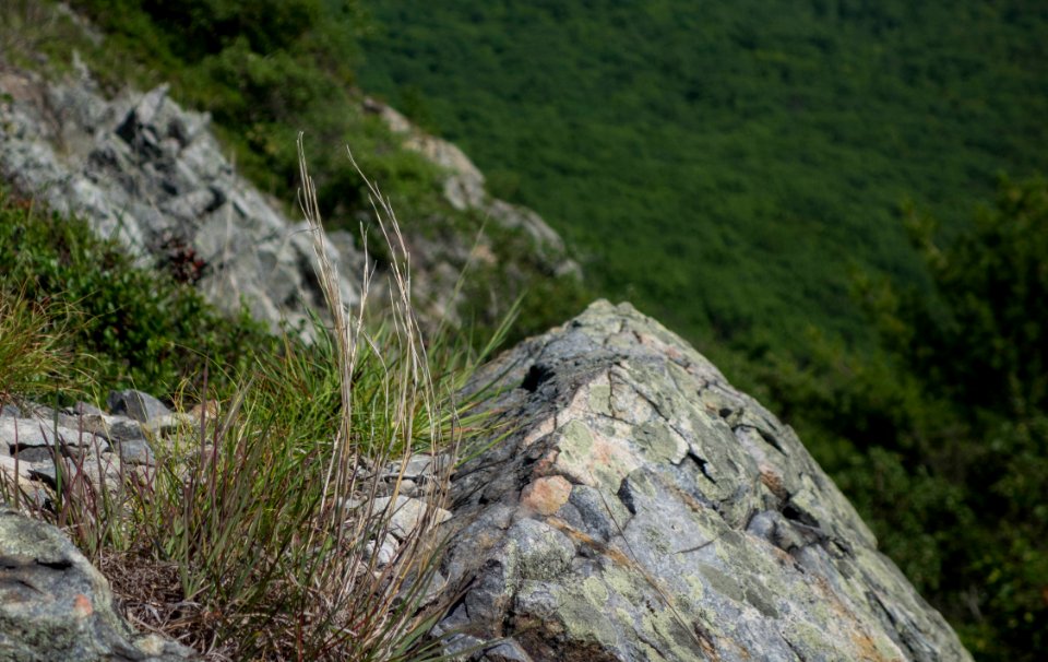 Life on the edge.