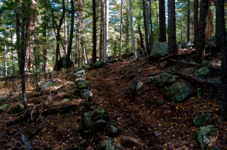 Bear Jaw Trail