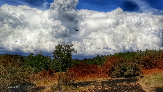 Point Fire (July 24, 2016)