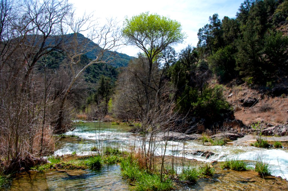 Waterfall Trail at Fossil Creek