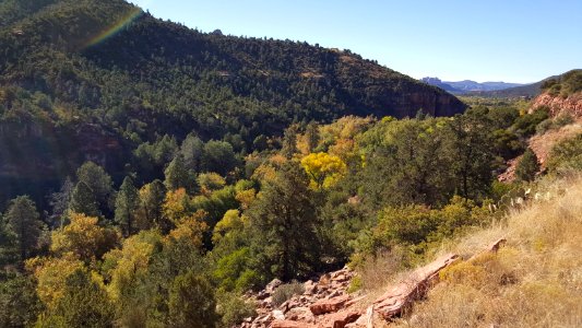 Fall Color in Oak Creek Canyon (November 8, 2017)